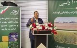 افتتاح فاز نخست مجتمع کشت و صنعت نگین سبز، تحولی بزرگ در منطقه آزاد مهران