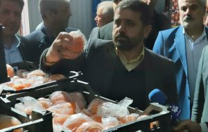 بازدید بازرس کل قضایی استان از سردخانه‌های نگهداری میوه‌های شب عید در شهر ایلام بازدید کرد
