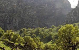 ‍ ‍ دستور قضایی برای مسدود سازی مسیر ورود به جنگل کبیرکوه در میمه
