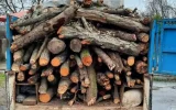کشف ۶ تن چوب جنگلی در هلیلان